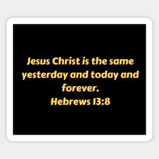 Bible Verse Hebrews 13:8 Magnet